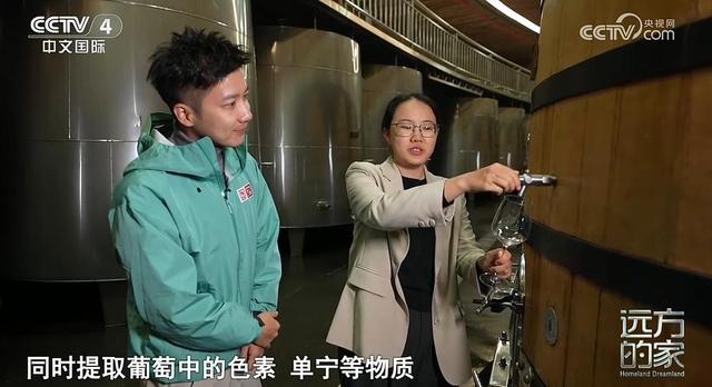 CCTV-4《远方的家》本期坐标：宁夏·银川🪂