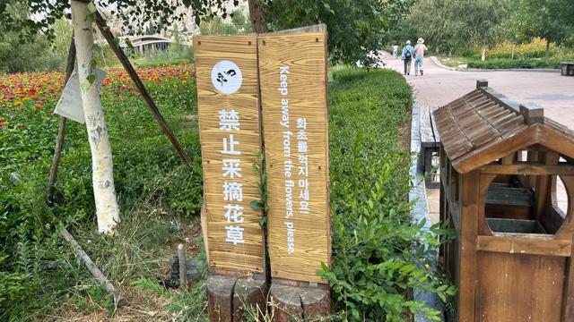 非遗展示、实景演出、暖心服务… 这份游玩体验感直接拉满！