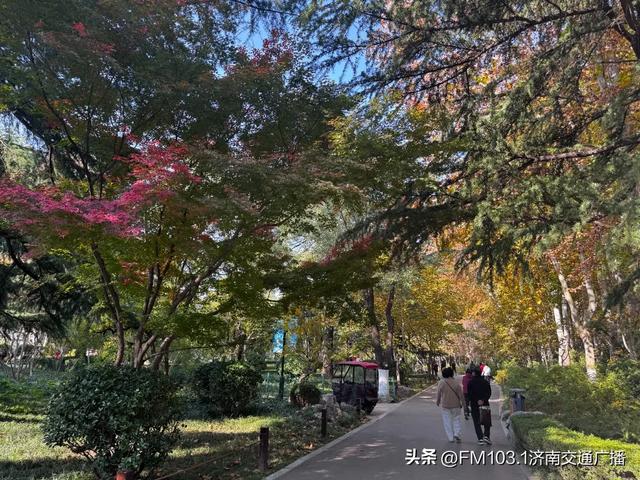 公园景区秋色图鉴,这几处必打卡