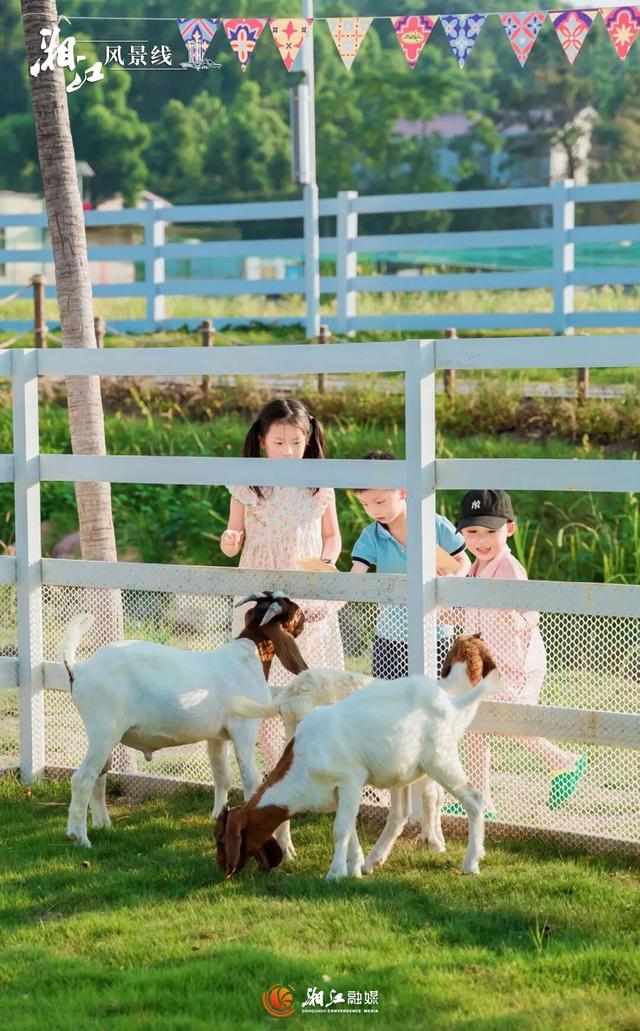 挖到长沙7个“野生宝藏地”！娃疯玩，我躺平！