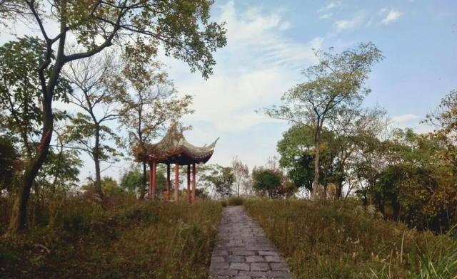 坐地铁去春游｜直达！6号线沿线宝藏公园，一键赴春日之约