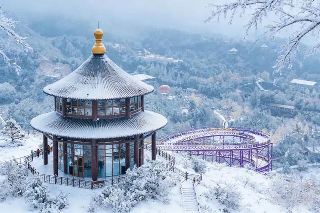 实拍！雪后淄博，秒变水墨仙境！