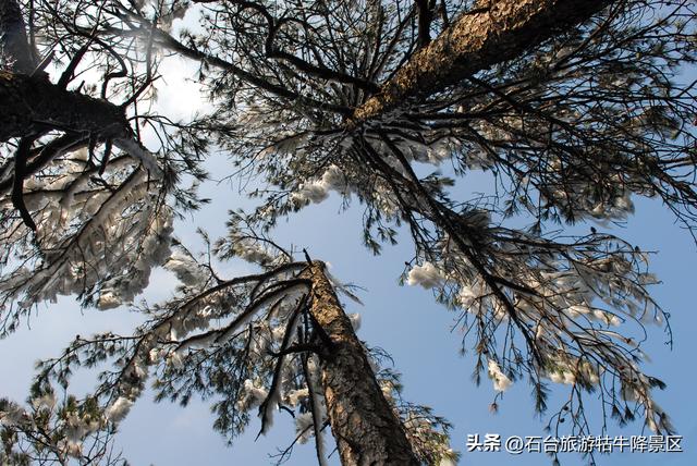 霜尽冬来，焕新赴约盼君至