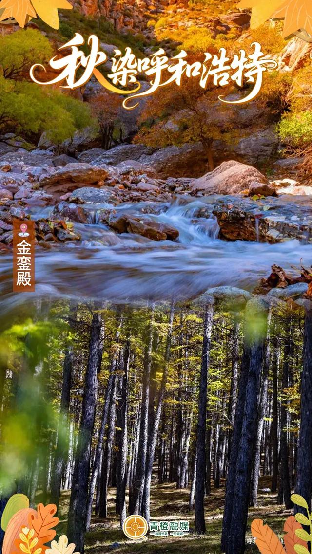 再过几天，呼和浩特就要变成这样了→