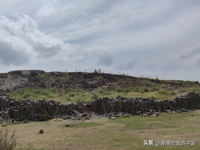 寻找谷力脑包