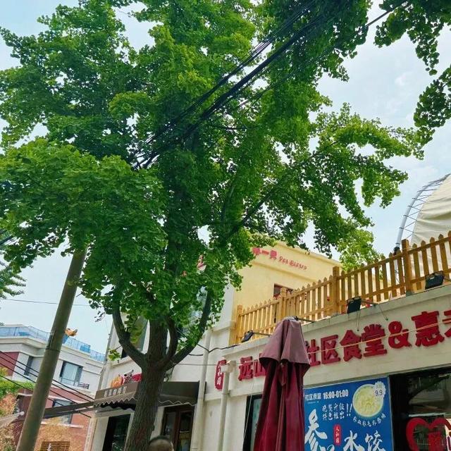 假期基础，目的地就不基础