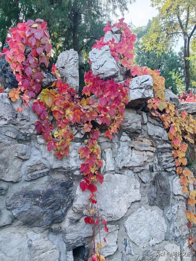 您预订的“诗与远方”已打包完毕！请签收