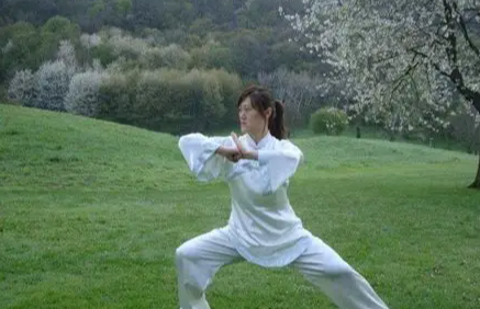 学太极拳此套路，一通百通，融会贯通