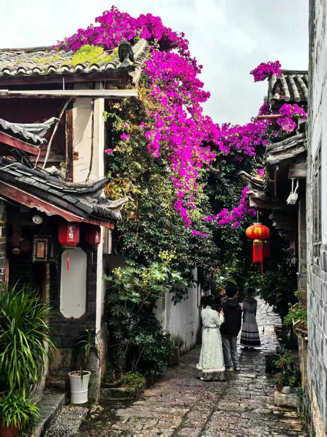 云南：花溪水韵醉丽江！