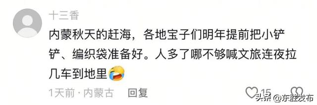 内蒙古土豆，“捡”的咋比买的还香？