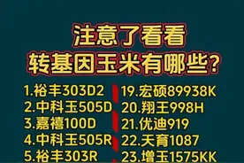 终于有人把转基因玉米，整理出来了，涨知识了，看看有哪些？图片