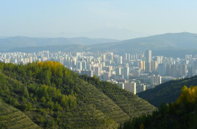 颜值变产值！青海这样点“绿”成“金”