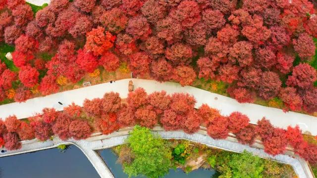 4000人沉浸式畅游，惊艳了荣成这里的啥？