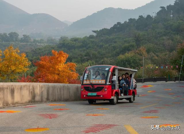遵化娘娘庄南山常乐谷，红叶红果装满秋日惊喜