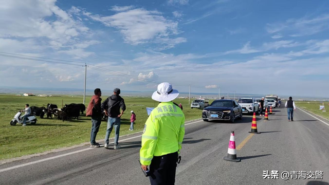 乐游青海 交警同行 | 旅游旺季保畅通 服务群众出行路