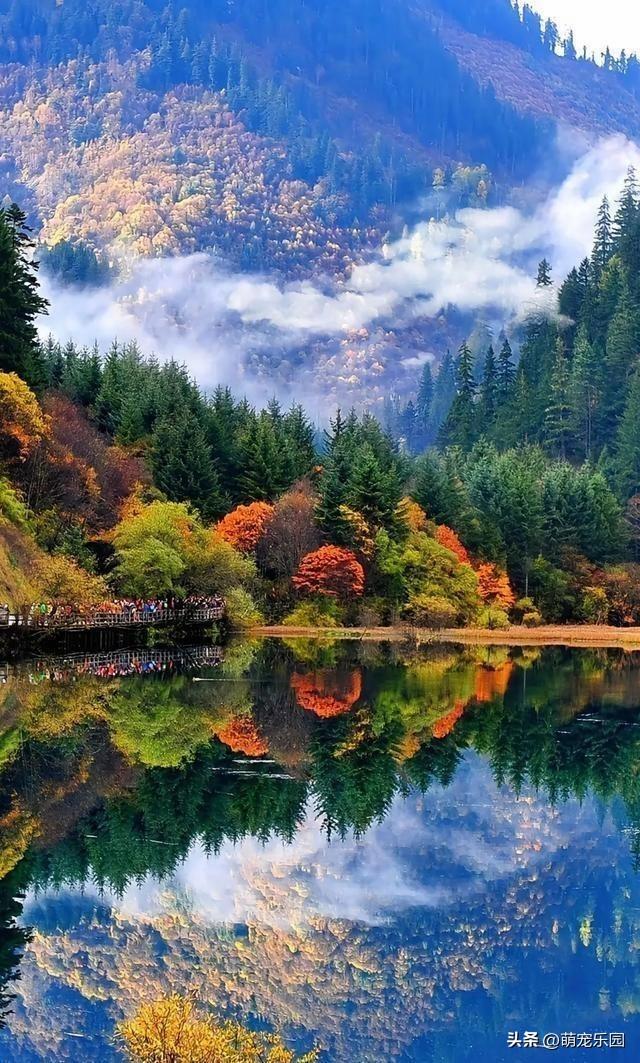 山顶古松傲然挺立，云雾缭绕如仙境，我竟品尝到超然物外的滋味