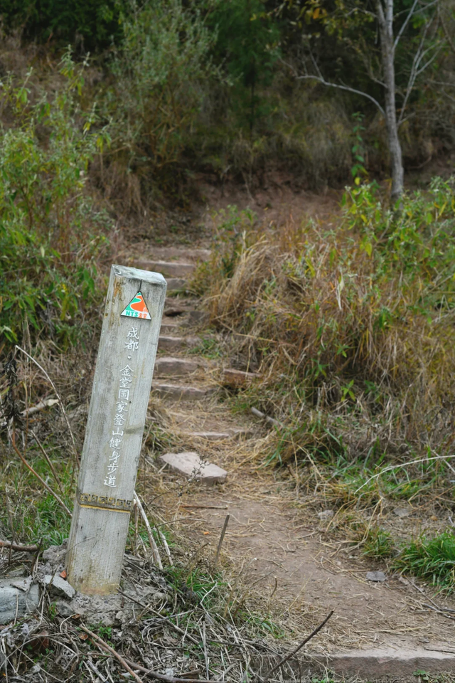 成都秋冬徒步NO.1，这是我见过最美的山脊线，1h可达亲子友好！
