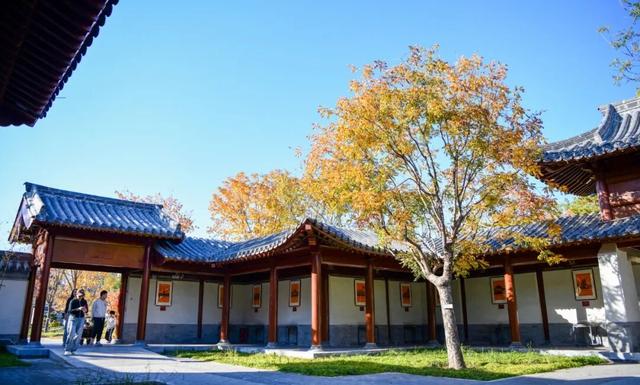 打卡定州限定秋景！