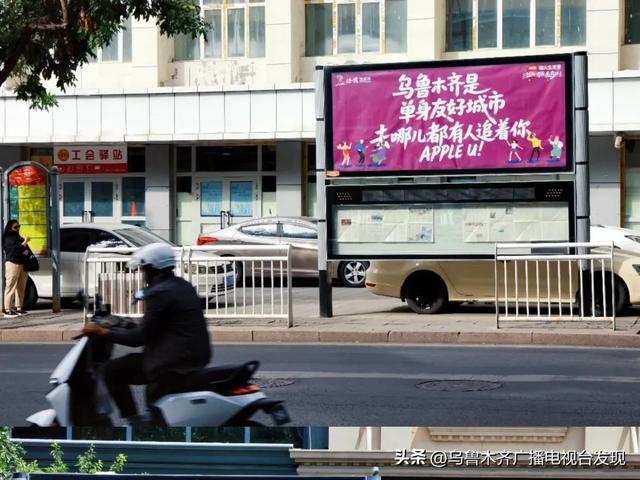 为什么，他们要回到新疆？