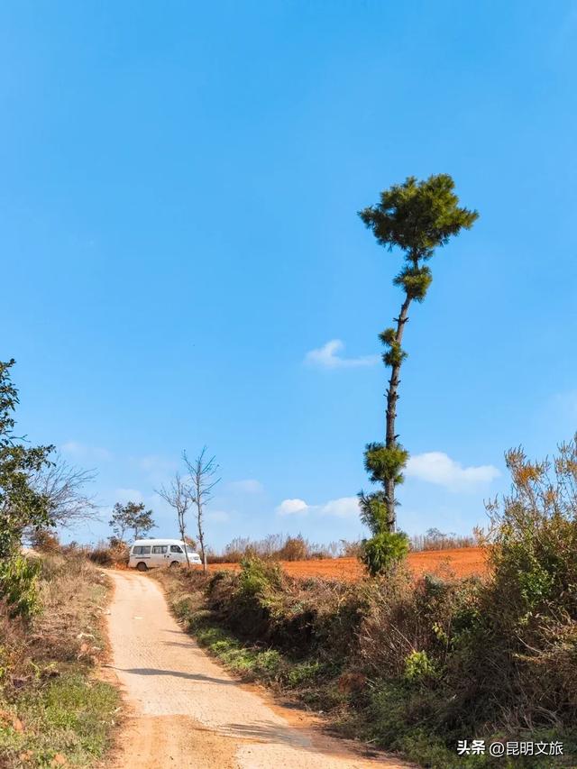 来一场短暂的城市逃离!盘龙这些登高好去处你知道吗?