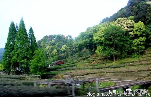 杭州324路公交车沿途风光（皖浙沪旅游122）