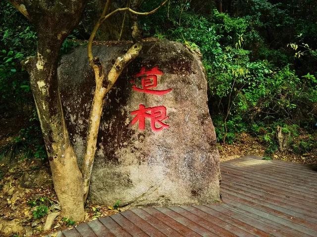 “若得一日闲 山中品千年” 游泉州清源山