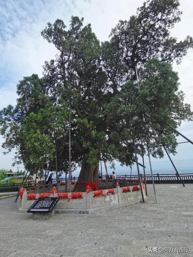运城宝藏小县城芮城,一口气看完主要景点