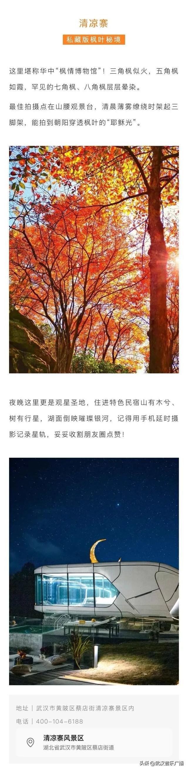 这个秋天来黄陂玩出文艺范