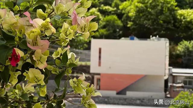 国庆假期，住美宿感受房山秋日浪漫