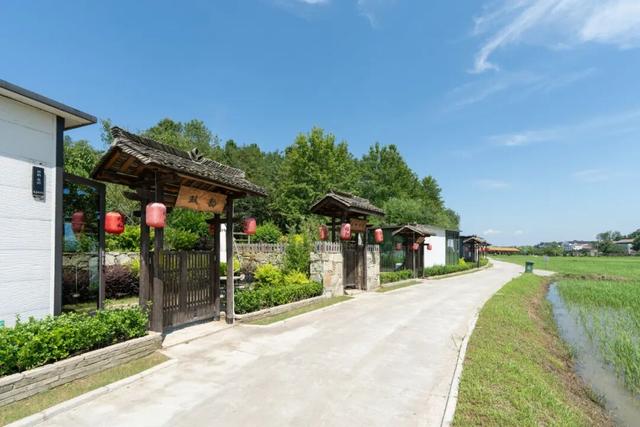 裕和夫子山：用私汤与稻浪，写一封山系情书