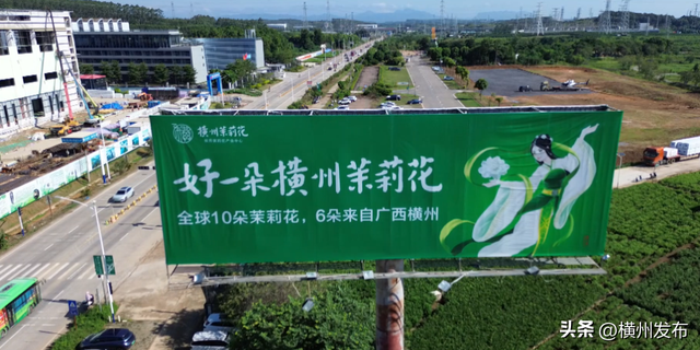 金点述评 | 是横州的 也是世界的