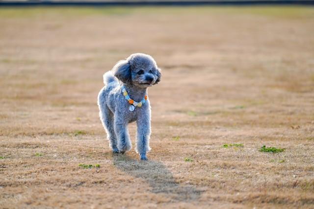 退休自驾游，这10种作死行为千万别碰！轻则挨骂，重则直接轰走！