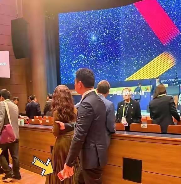 刘强东带章泽天见特朗普，谁料56万爱马仕包成功抢镜，她笑容更甜