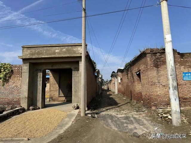 冠县乡韵·兰沃乡大柳邵村