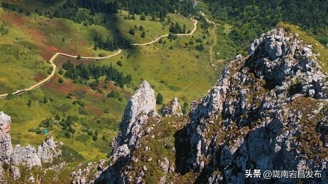 漫步雷古山：踏响官鹅沟的生态诗行