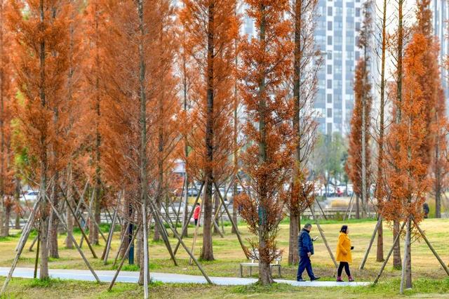 青睐绵阳 || 这里，绝美，超出片！
