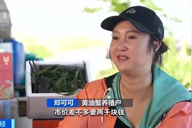 一只2000元！这种螃蟹怎么这么贵？图片