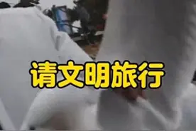 游客暴力抓住海鸥拍照，青岛栈桥景区：海鸥属保护动物，制止未果会报警图片