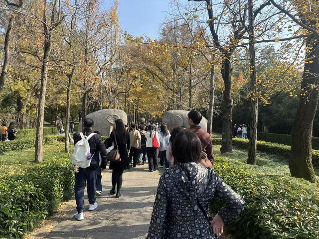 秋冬交替的明孝陵神道：一半秋意浓，一半冬风凉