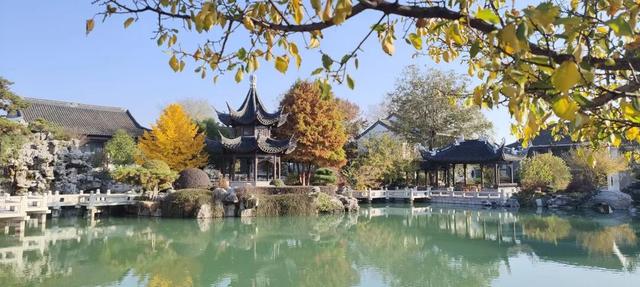 寻美薛城丨谁还没去？薛城小江南留园山庄这片初冬美景秘境藏不住了，速来打卡！