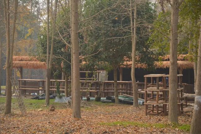 即将正式营业！金堂又将新增一处游玩打卡地！