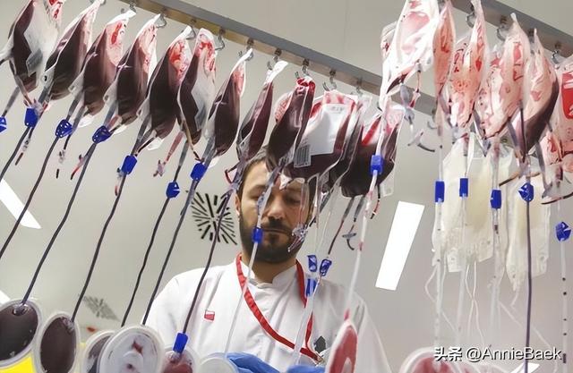 美国富饶又富有，在经济繁荣表象下，普通民众却需靠卖血维生？