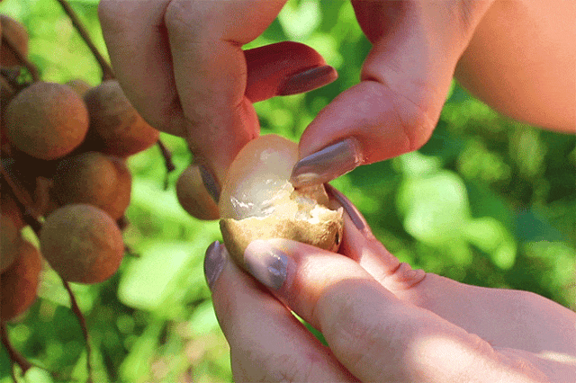泸州泸县，值得专程为它来一趟！
