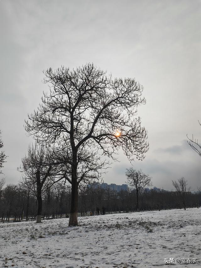 梦回长安！2026西安初雪落大明宫：龙首渠畔聆听千年回响