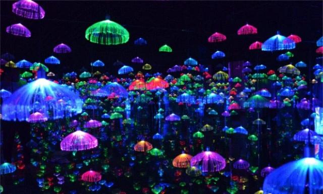 秋华未减，冬景将至，来炎帝影视基地赴一场秋冬的约会吧！