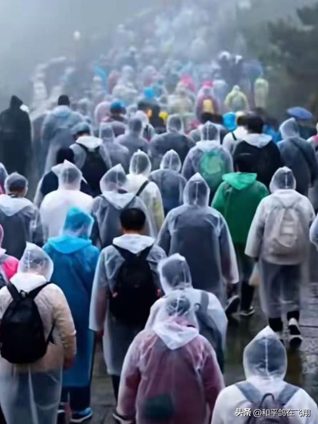 长假里的雨幕秋思