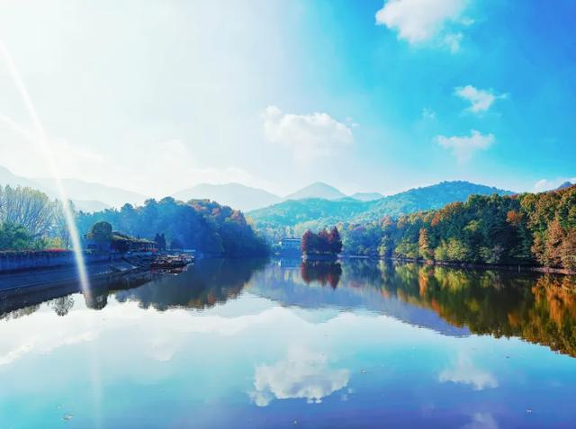 记者们快看——金顶山免门票专属权益!