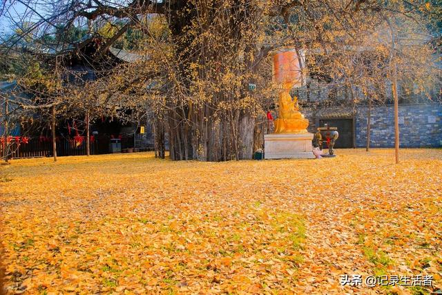 全部免费！秋天8个情侣游好去处推荐！