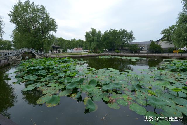宝坻小辛码头：古渡辛埠藏雅韵，漕声千载忆根源