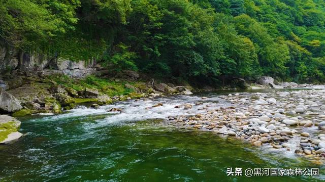 初秋限定美景，在黑河，听见了风与水的私语
